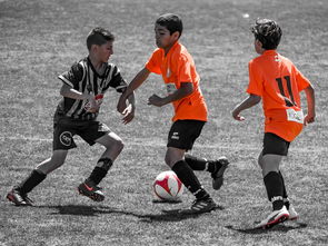 开云体育中国官方网站-NBA最佳新秀竞争激烈 三人数据旗鼓相当,nba最佳新秀含金量