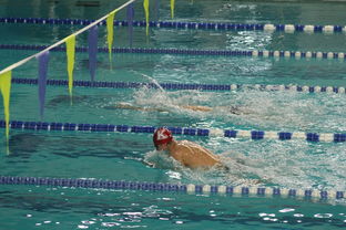 开云体育下载官网-“新加坡泳池见证泳坛巨星!2025世界游泳锦标赛激烈开赛”