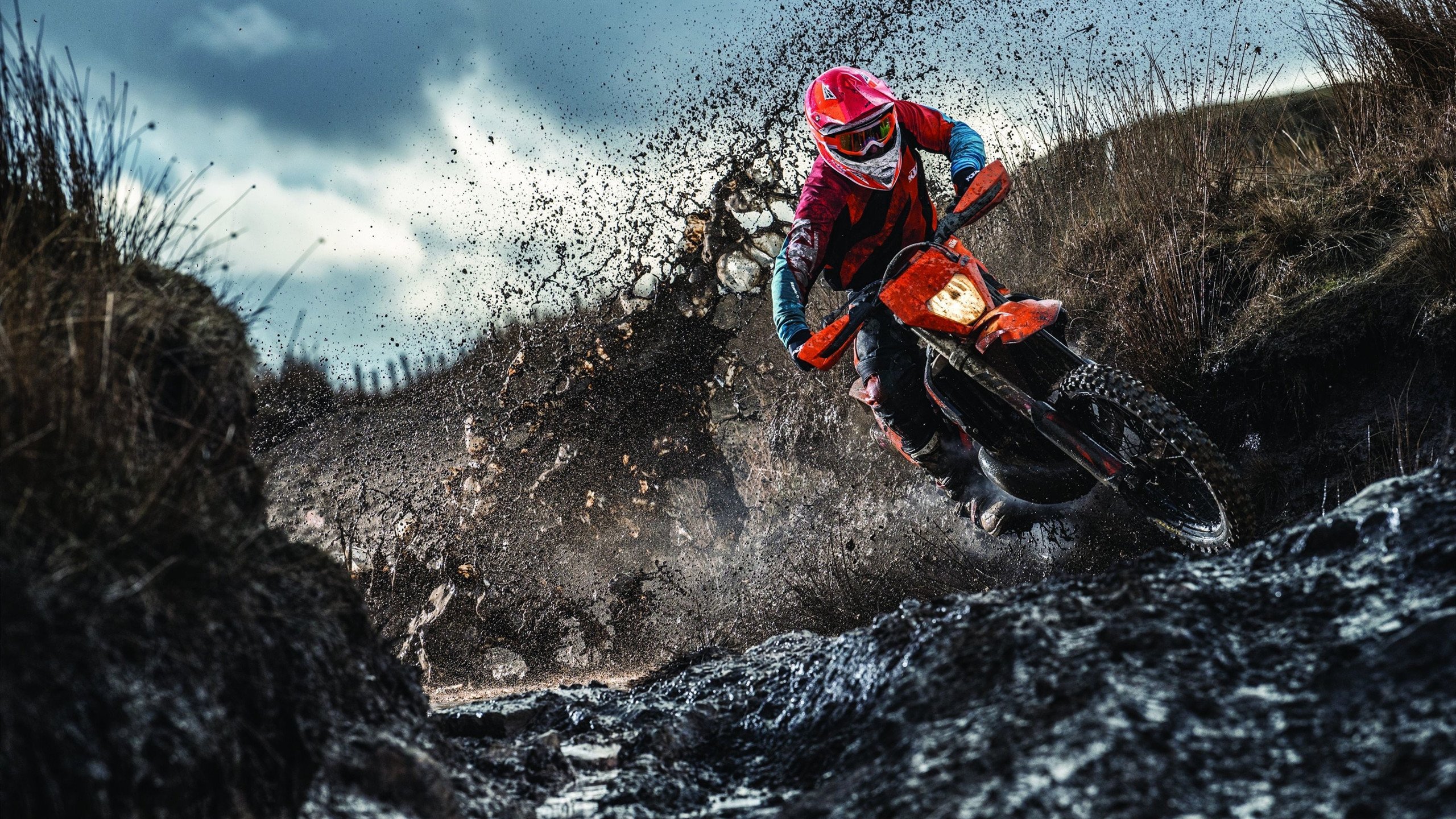 开云体育网页版-“拳脚交锋,四川省体育馆自由搏击赛火力全开”