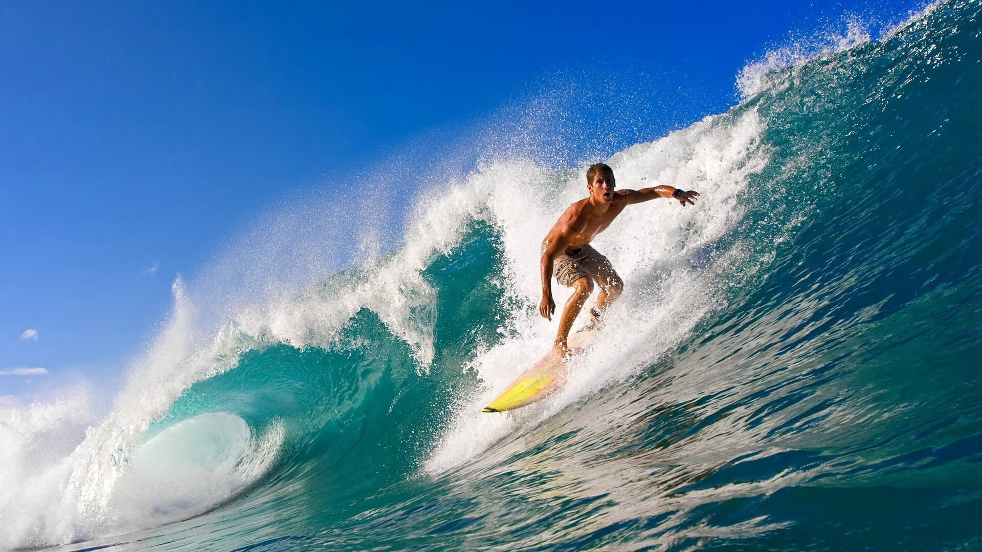 kaiyun电竞-“香港跑步盛事！SHO-CHAN Run 2025点燃运动激情”