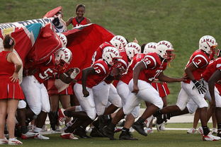 开云电竞服务-东亚杯中国青年队战平 球迷对球队充满信心,东亚杯2021举办中国