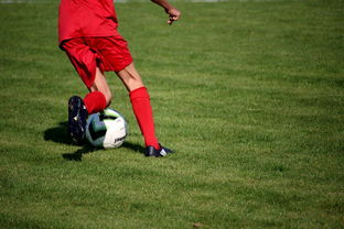 开云娱乐-体育新闻中心构建体育赛事全媒体传播体系,体育赛事的媒体宣传需要向媒体经营单位直接支付费用