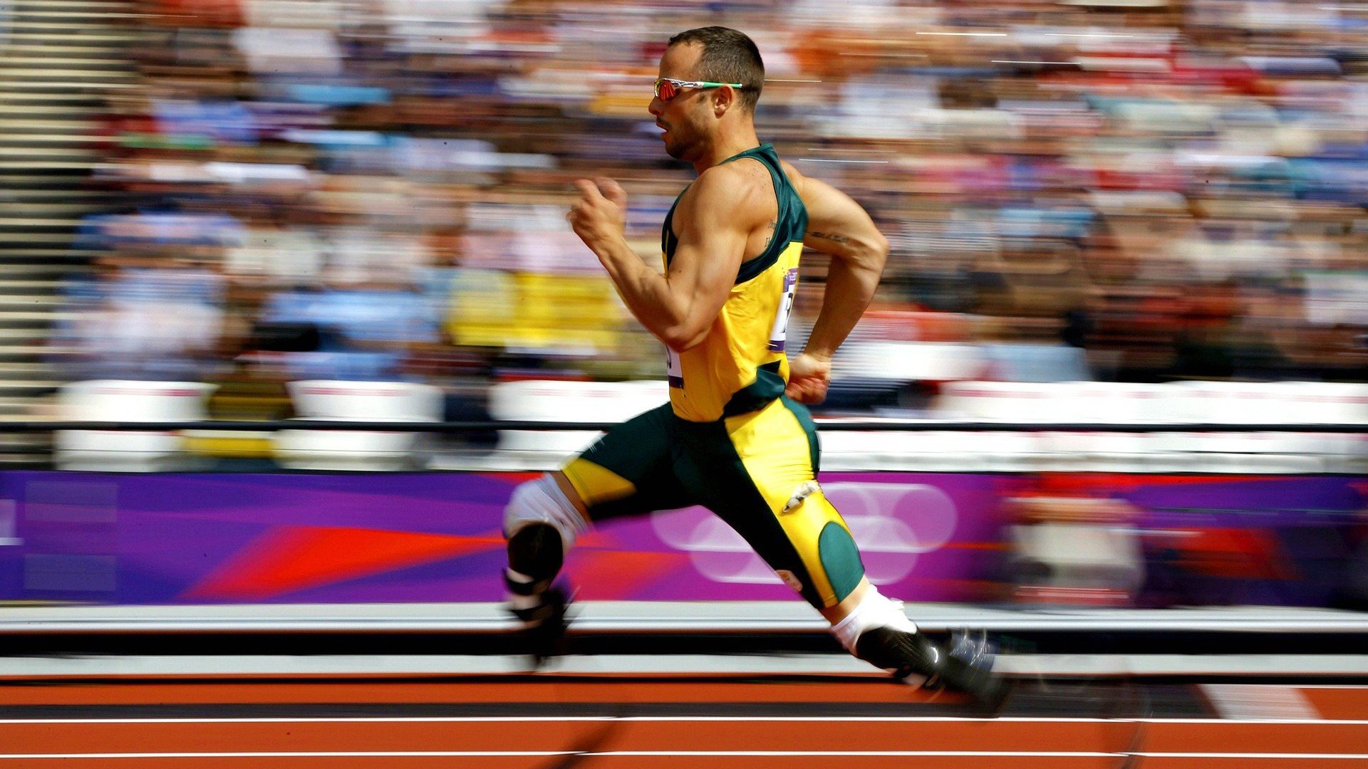 开云真人-体育新闻中心协办全国体育数据应用技术交流会，体育大数据中心