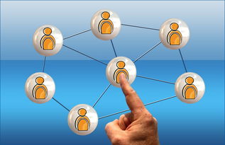 开云电竞入口-德国队与国际乒联混合团体世界杯赛制的互动与挑战，德国队乒乓